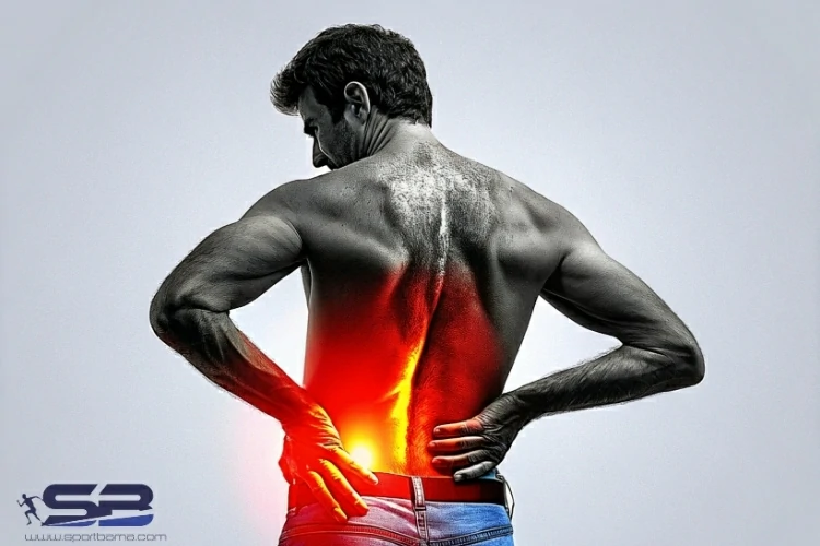 ورزش ویلیامز برای کمردرد